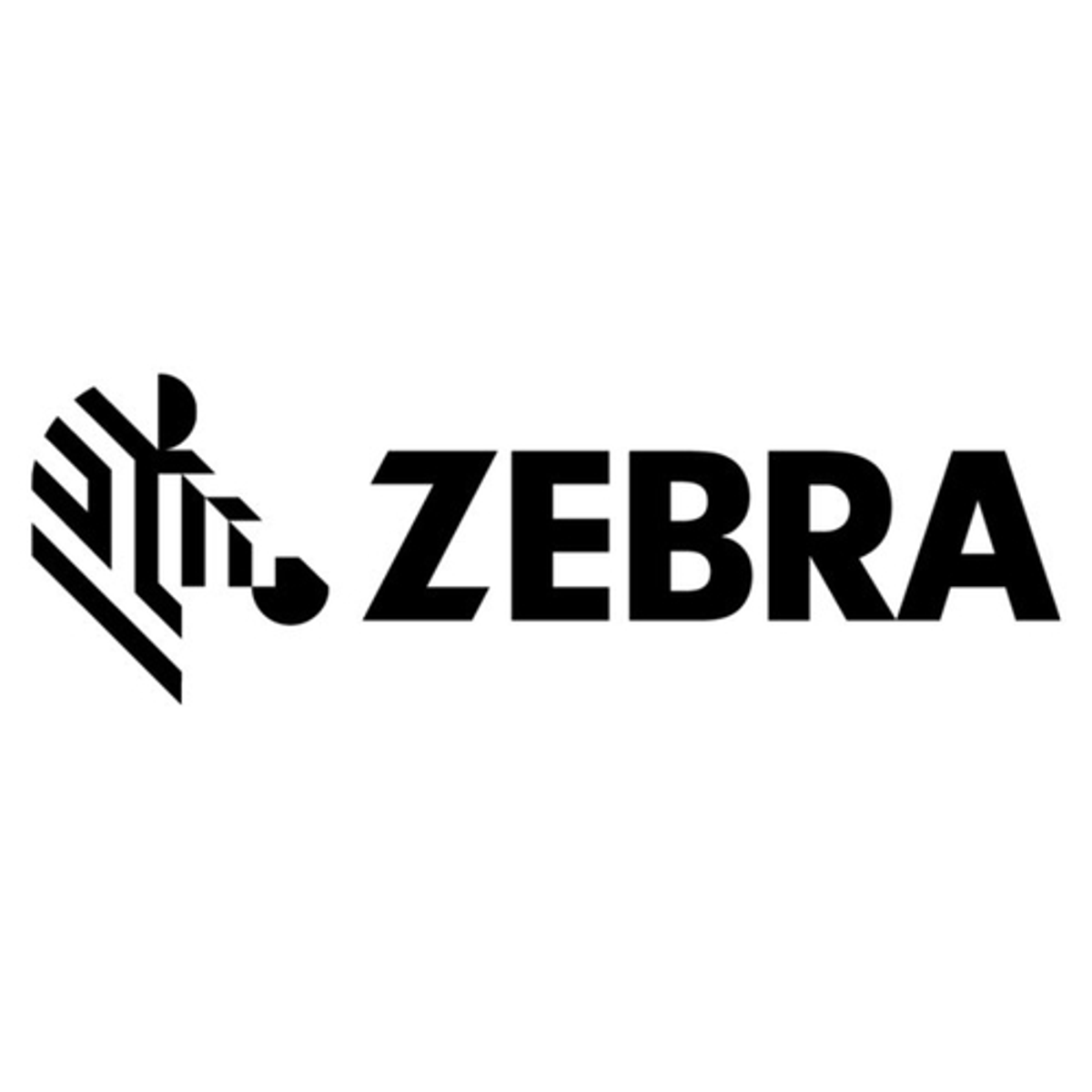 Accesorio TPV Zebra Cable 105910-065