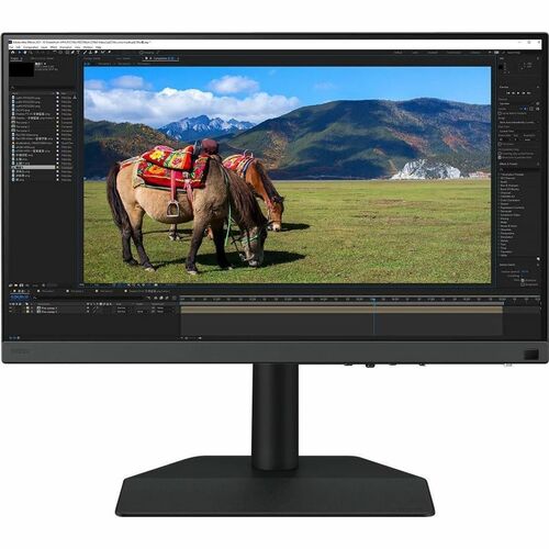 Monitor BenQ SW242Q SW242Q vista principal