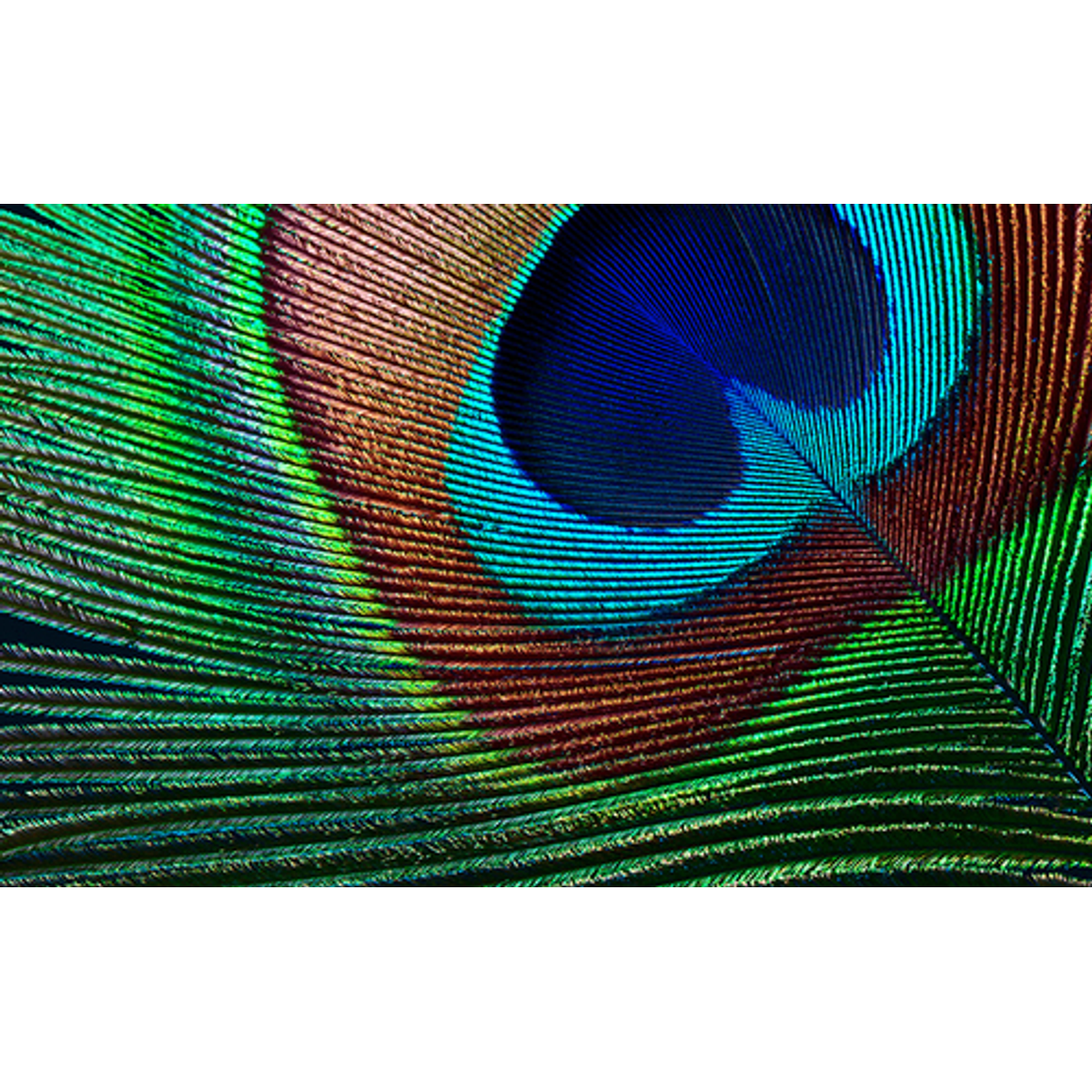 Proyector Epson EH-TW7000 4K UHD 3000 lm ANSI - vista 10
