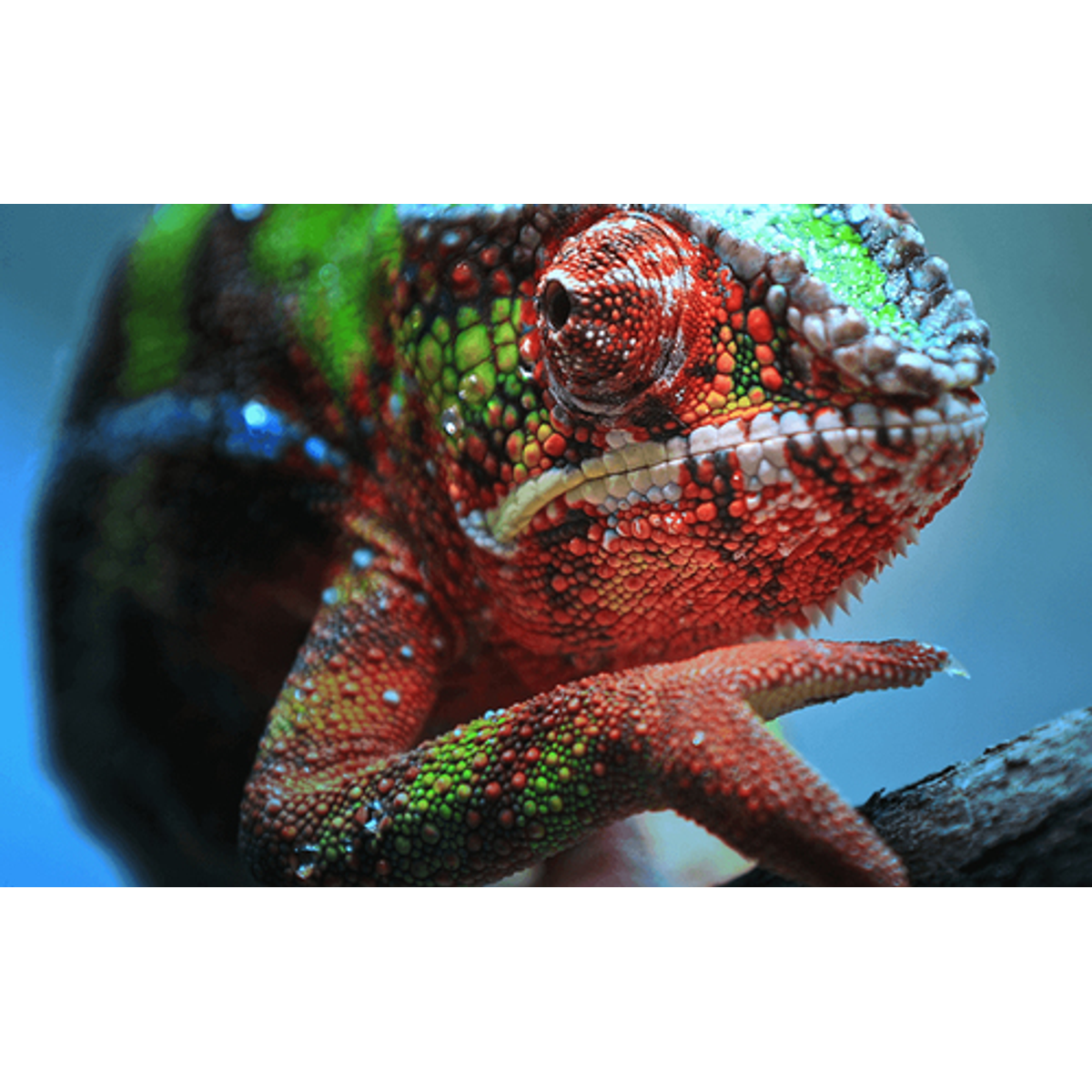 Proyector Epson EH-TW7100 4K UHD 3000 lm ANSI - vista 9