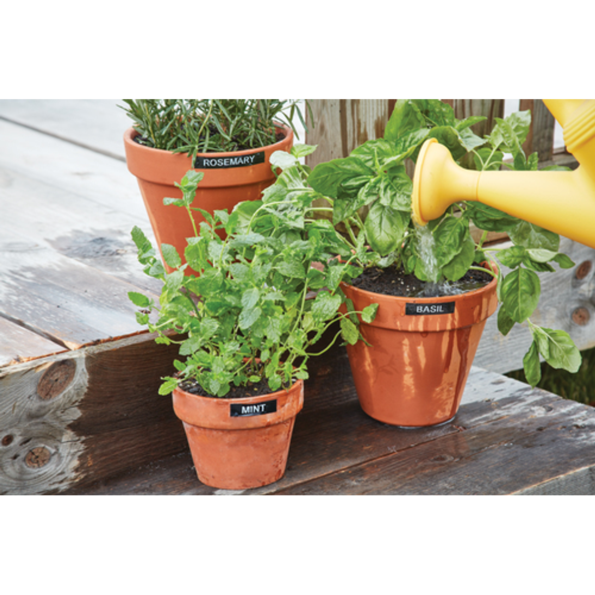 Rotuladora Dymo LM280 Transferencia térmica S0968920 - vista 7