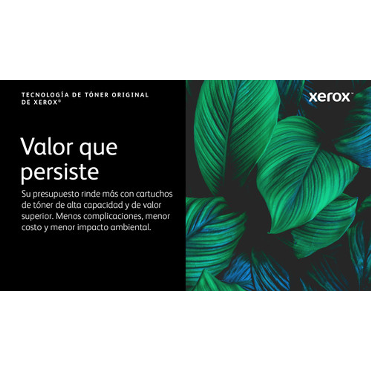 Tóner Xerox 006R04726 Original Negro - vista 2