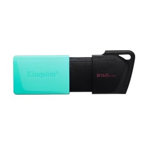 (imagen para) Pendrive 256GB Kingston DTXM