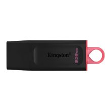 (imagen para) Pendrive 256GB Kingston USB 3.2 Exodia pink