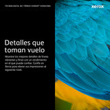 Tambor Xerox 113R00779 negro para VersaLink B7000 imagen 2