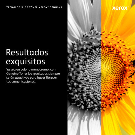 Tambor Xerox 113R00779 negro para VersaLink B7000 imagen 6