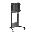 Soporte de suelo Aisens FT100E-263 imagen principal