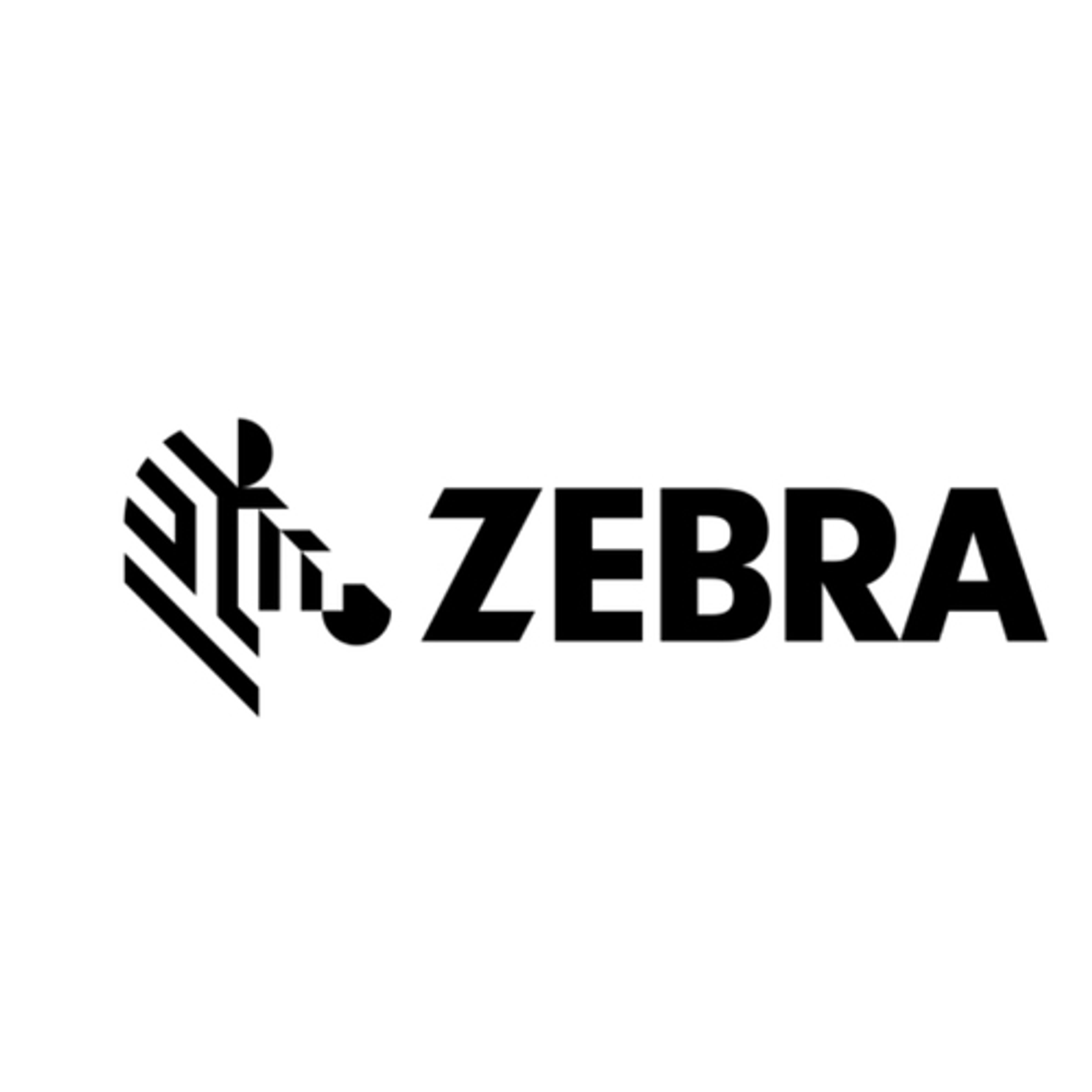 Etiquetas RFID Zebra 45 × 13 mm Blanco 1 unidad 10026763