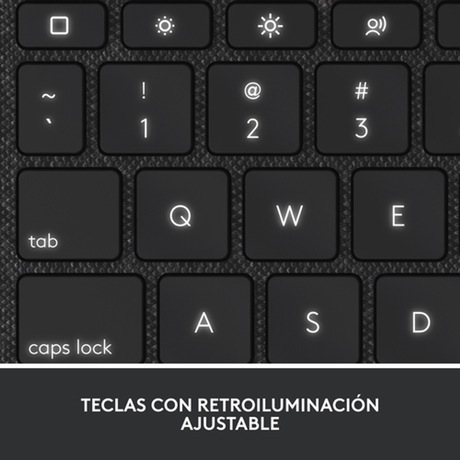 Funda con teclado Logitech 920-011439 Gris - vista 7