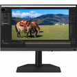 Monitor BenQ SW242Q SW242Q vista principal