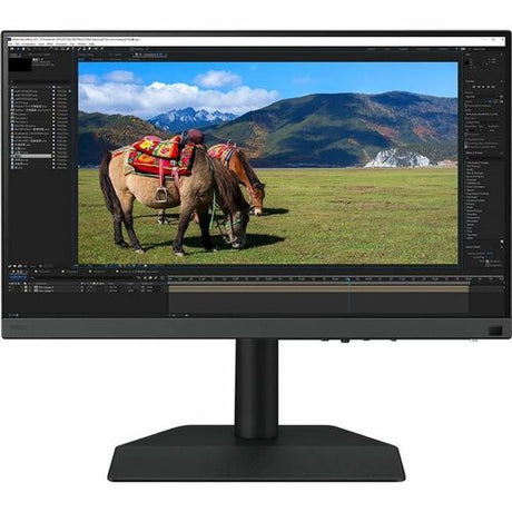 Monitor BenQ SW242Q SW242Q vista principal