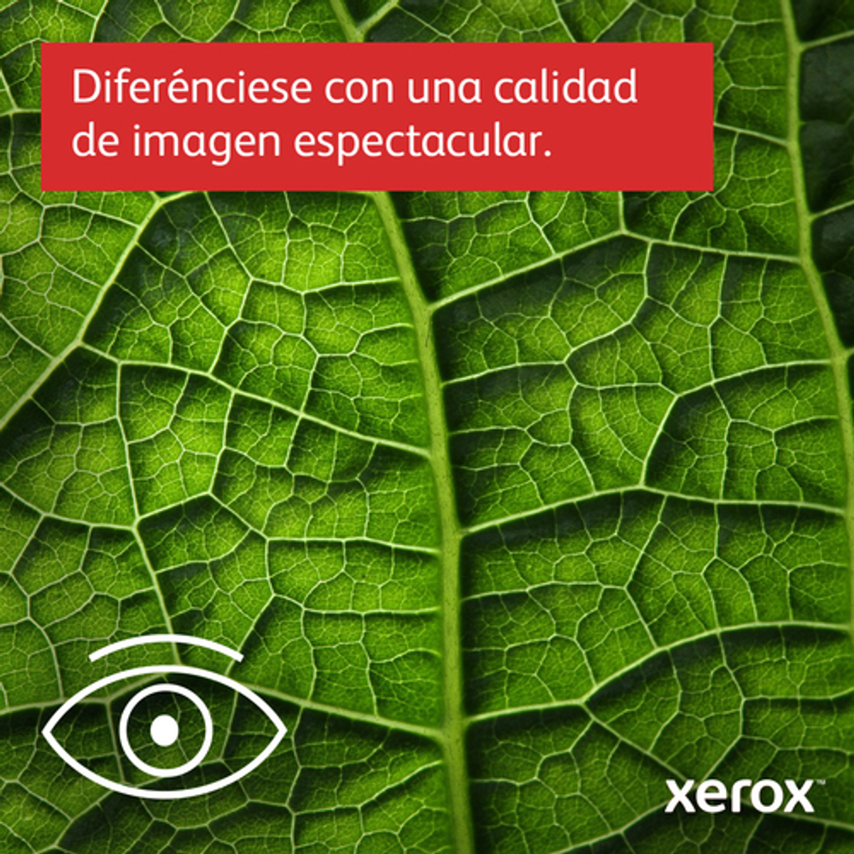 Impresora multifunción Xerox C235V_DNI Láser Color - vista 11