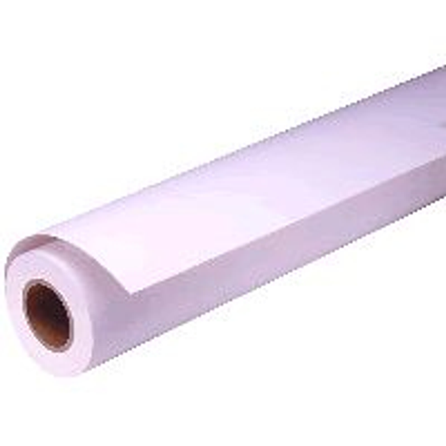Papel fotográfico Epson Gf Papel Premium Glossy Photo, Rollo de 16" X 30,5m - 250g/m2