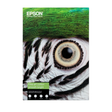 Papel fotográfico Epson Gf Papel Fine Art Cotton Smooth Bright Ii, A4 25 Sheets