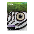 Papel fotográfico Epson Papel Fine Art Cotton Textured Natural 300 g/m2 - A3+