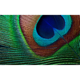 Proyector Epson EH-TW7000 4K UHD 3000 lm ANSI - vista 10
