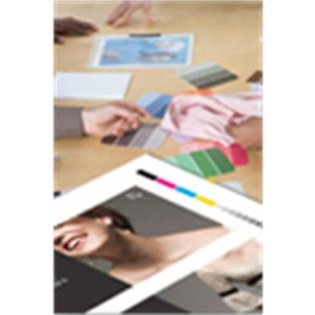 Rollo Papel mate Epson 13" 30,5 m 250 g/m²
