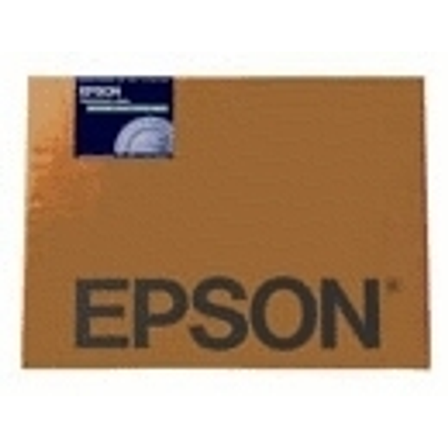 Rollo Papel mate Epson 17" 15,2 m 250 g/m²