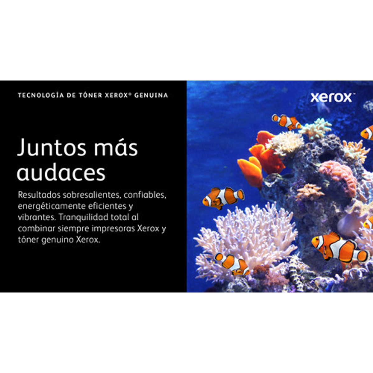 Tóner Xerox 006R04627 Original Amarillo - vista 2