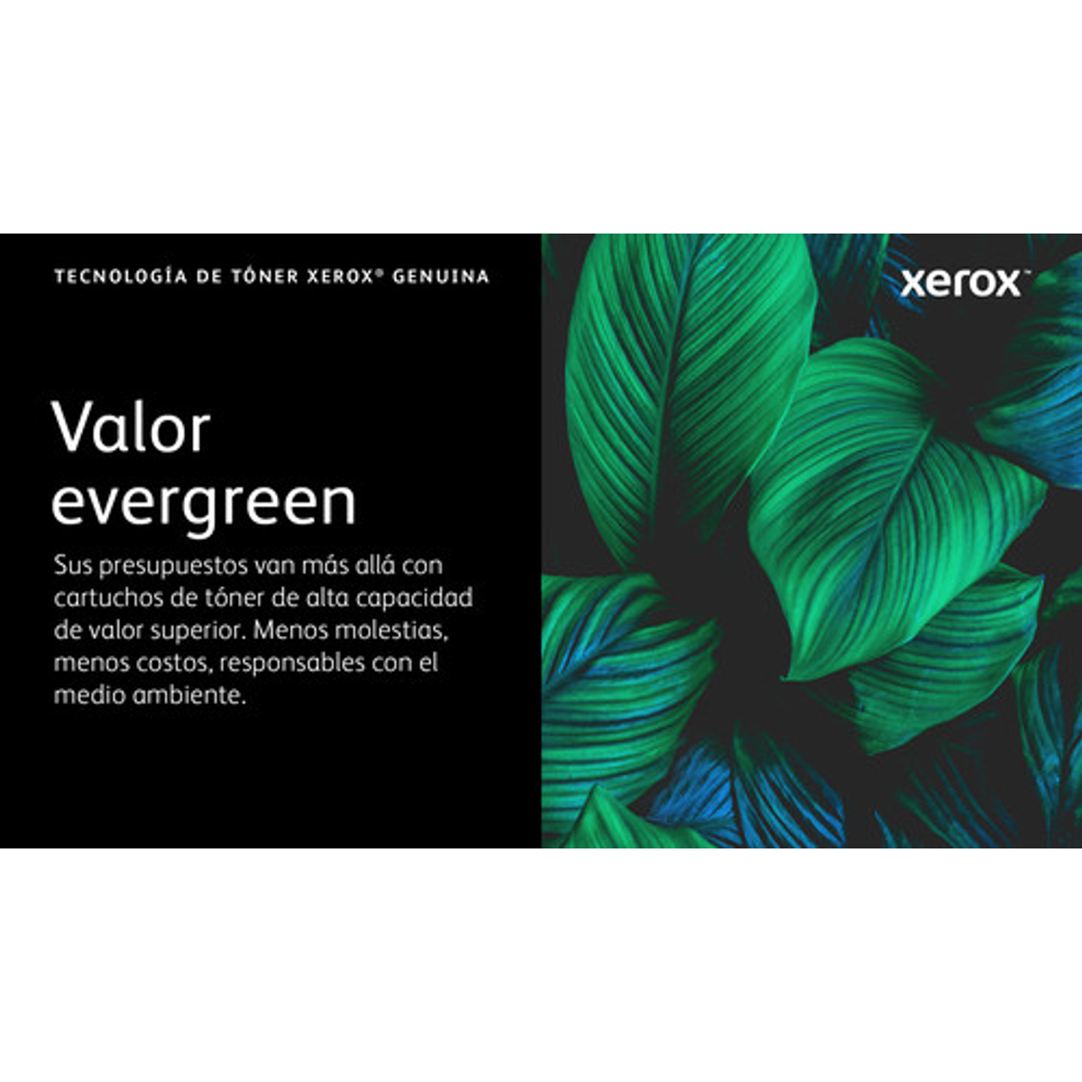 Tóner Xerox 006R04627 Original Amarillo - vista 7